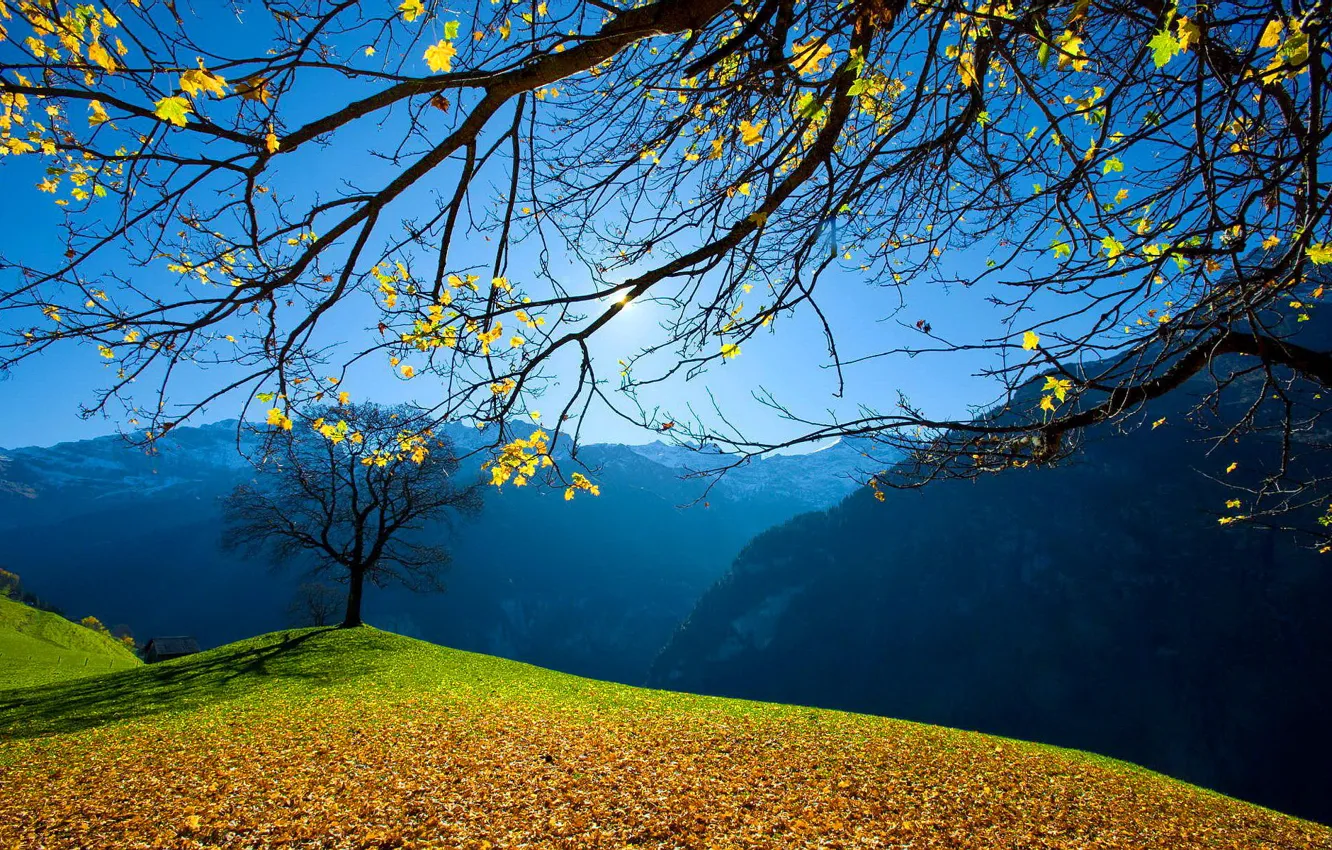 Photo wallpaper the sky, the sun, trees, mountains, foliage, Autumn