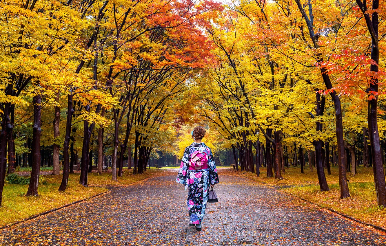 Photo wallpaper autumn, leaves, girl, trees, Park, Japan, Japan, kimono