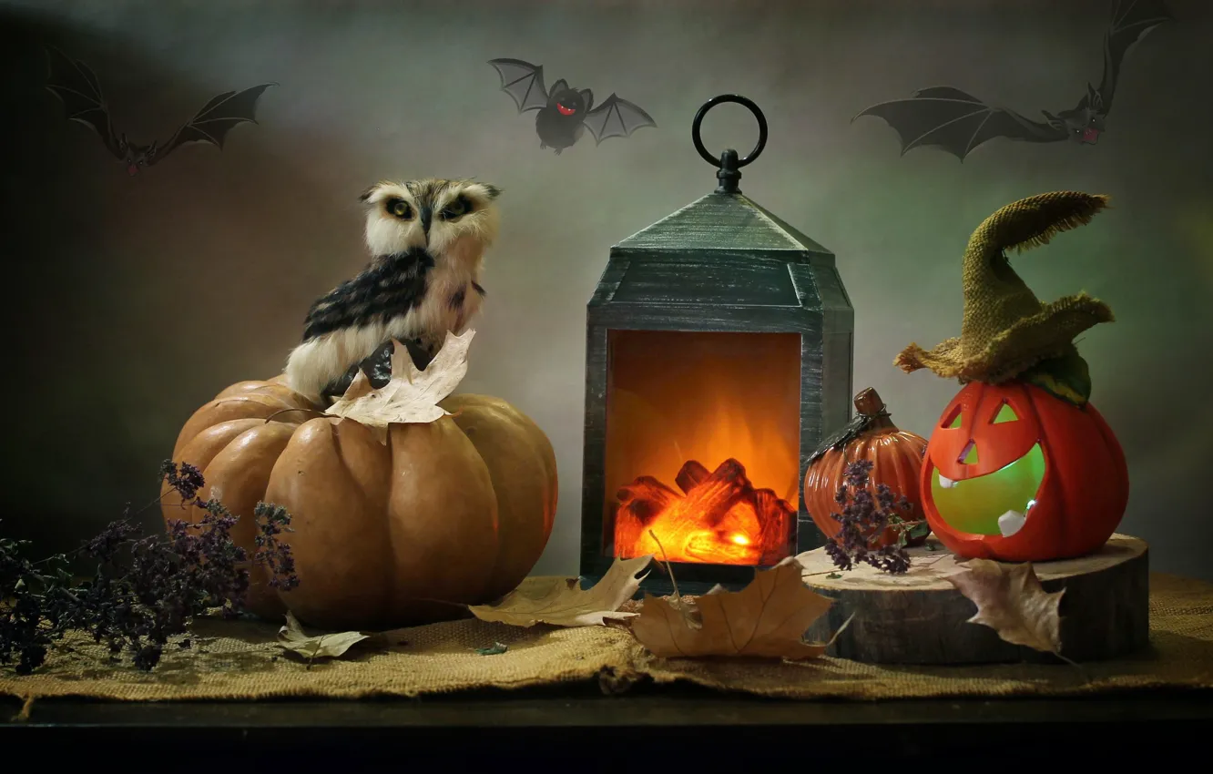 Photo wallpaper leaves, owl, lights, fabric, pumpkin, Halloween, burlap, Kovaleva Svetlana