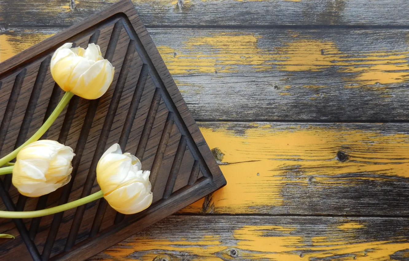 Photo wallpaper Wooden Board, flowers, flowers, widescreen, HD wallpapers, tulips, background, widescreen