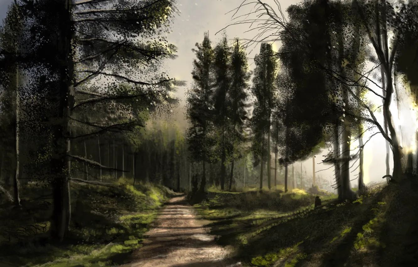 Photo wallpaper forest, the sun, trees, nature, figure, the evening, art, path