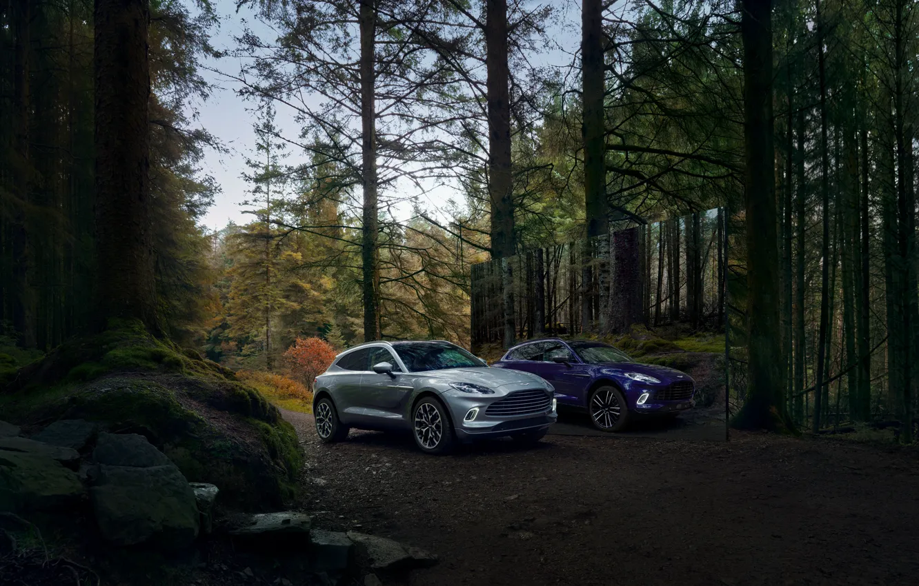 Photo wallpaper Aston Martin, Aston Martin, crossover, SUV, DBX, Straight-Six