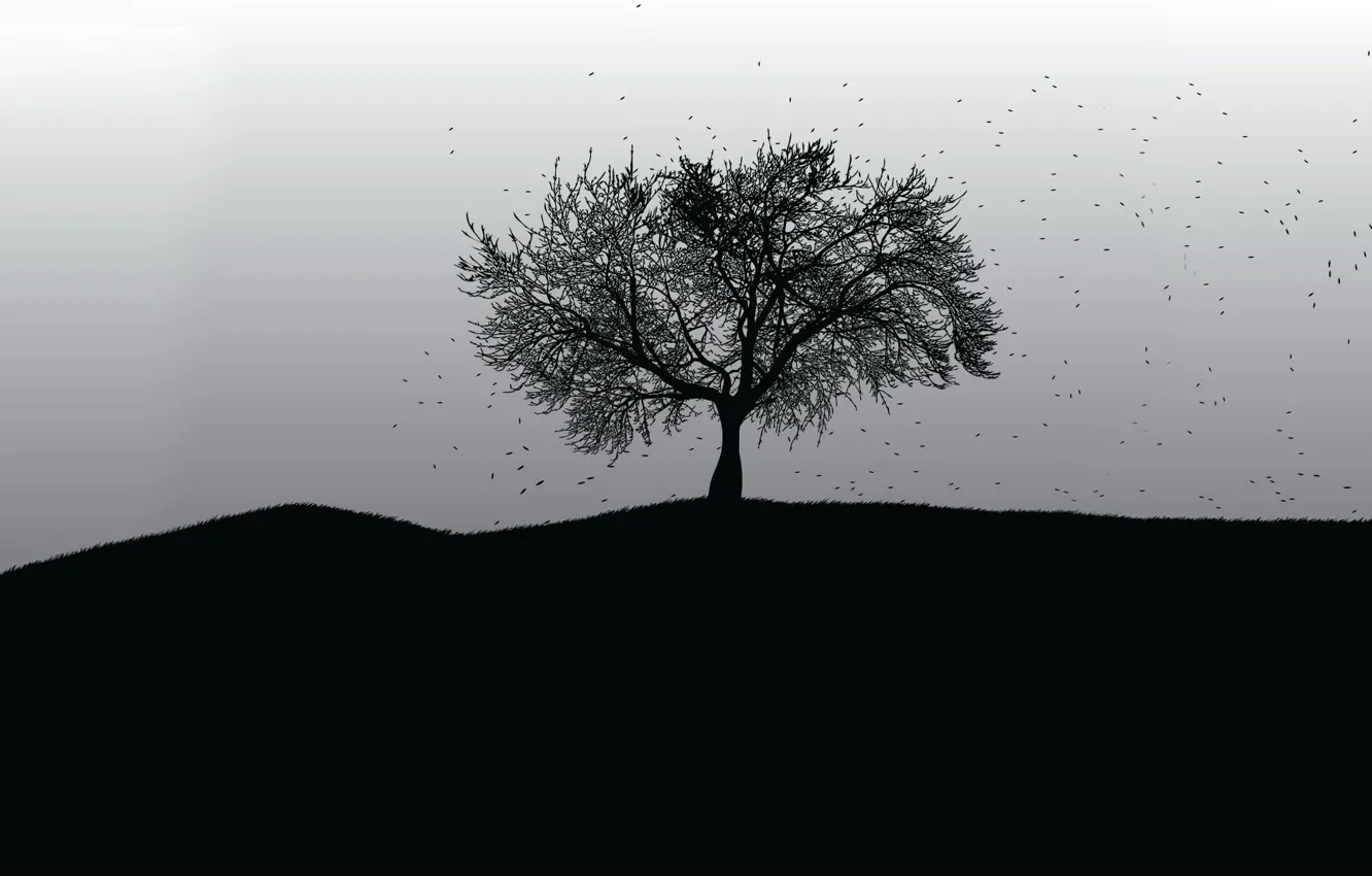 Photo wallpaper tree, black and white, vector