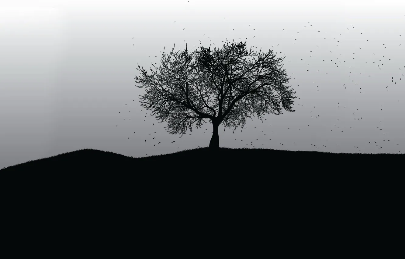 Photo wallpaper trees, vector, black and white