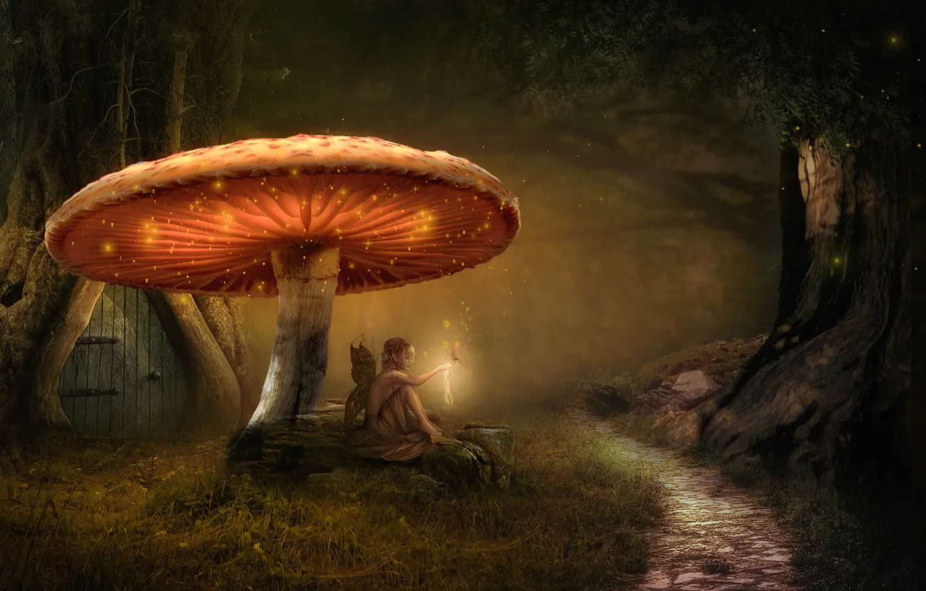 Photo wallpaper forest, grass, girl, light, trees, branches, lights, fog