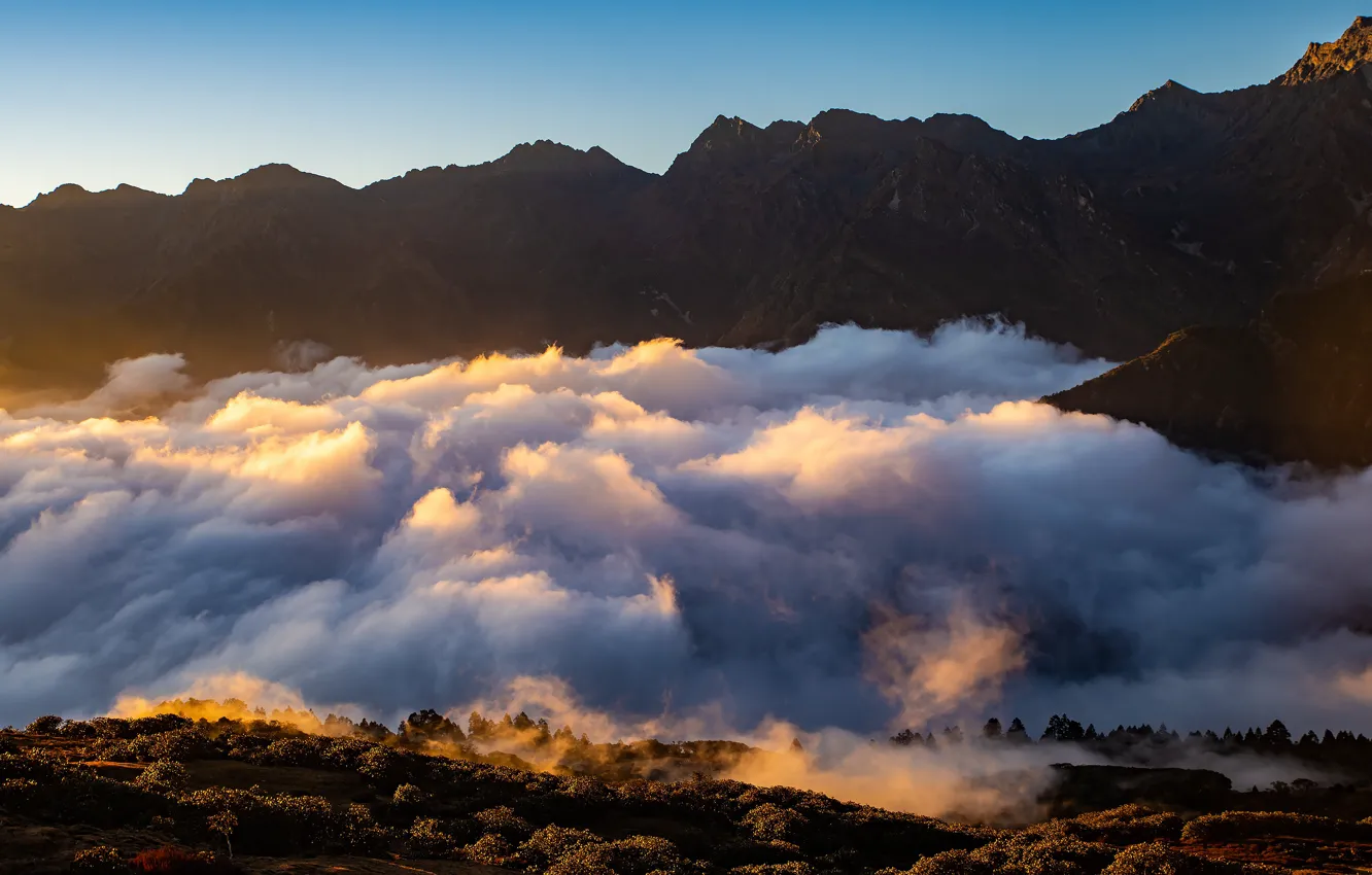 Photo wallpaper mountains, fog, rocks, morning, swirls