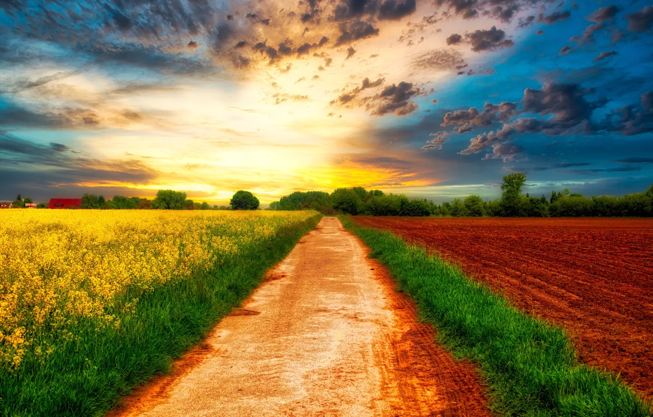 Photo wallpaper road, arable land, clouds, the sky, rapeseed field, sunset