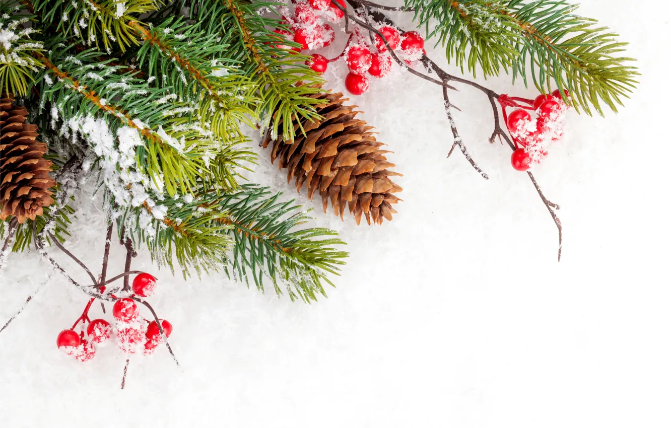 Photo wallpaper winter, snow, snowflakes, tree, Christmas, bumps, winter, snow