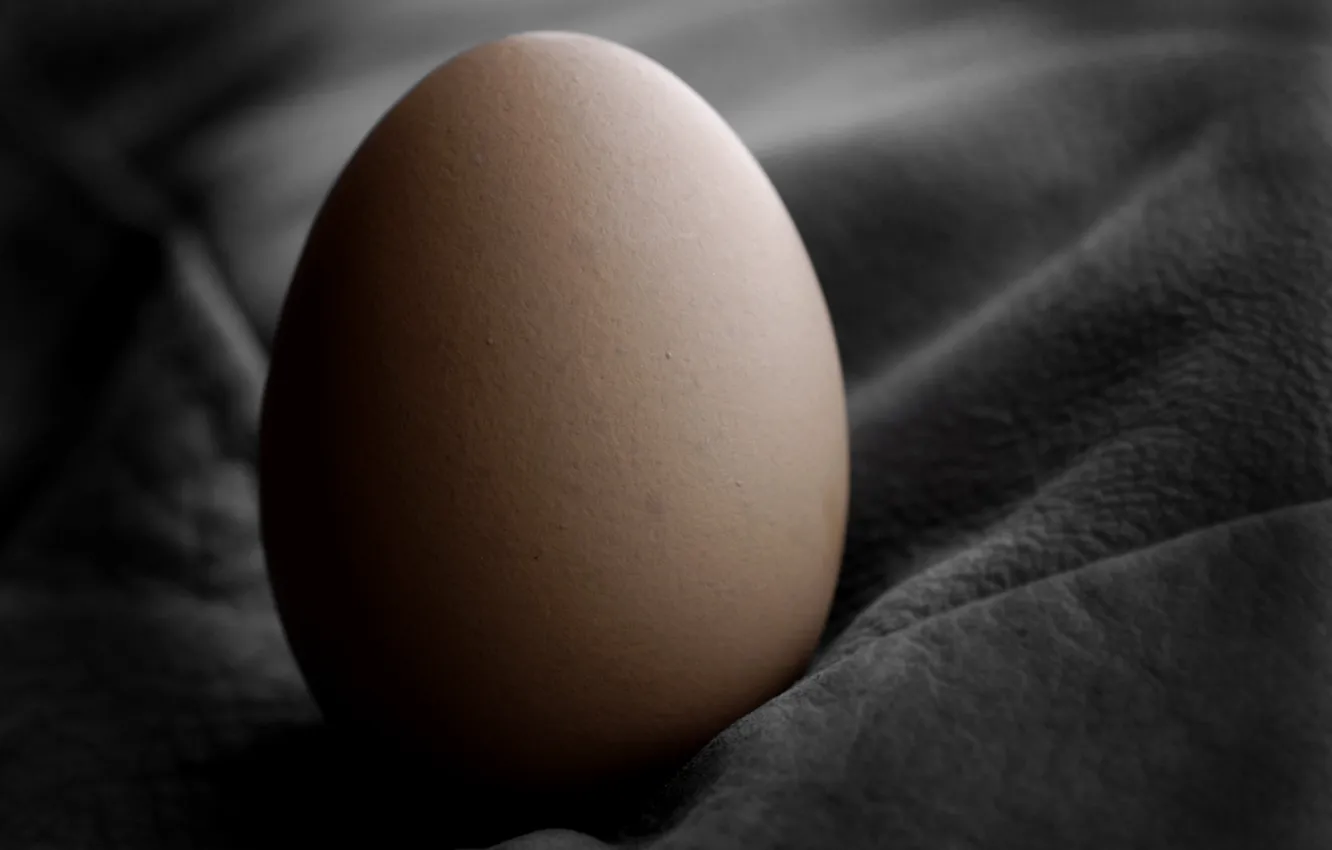 Photo wallpaper black, eggs, fabric