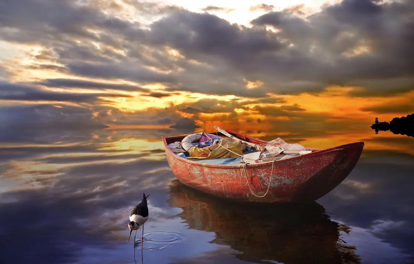 Photo wallpaper landscape, sunset, bird, boat