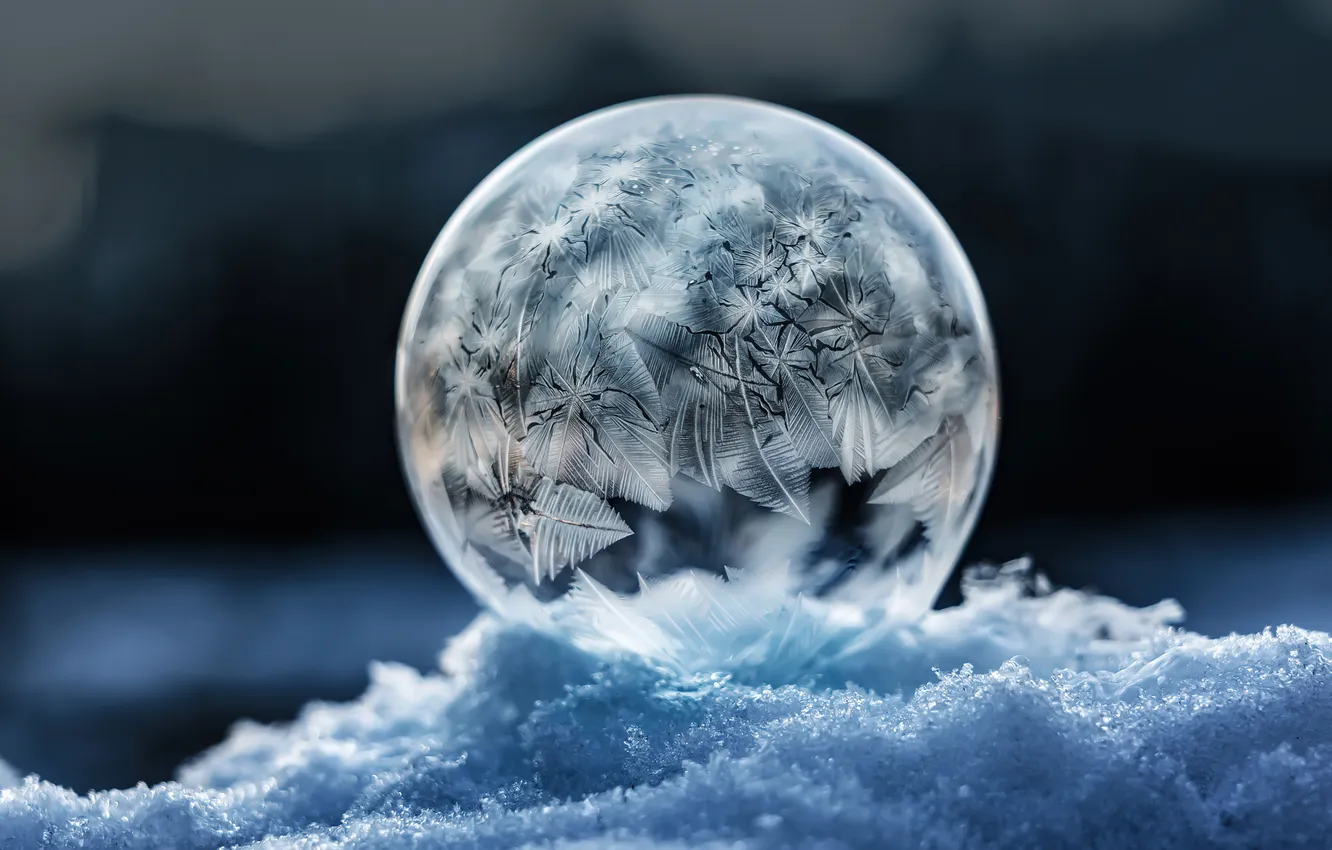 Photo wallpaper macro, Frosty, Crystal, soap bubble, Frozen bubble, Winter Snow