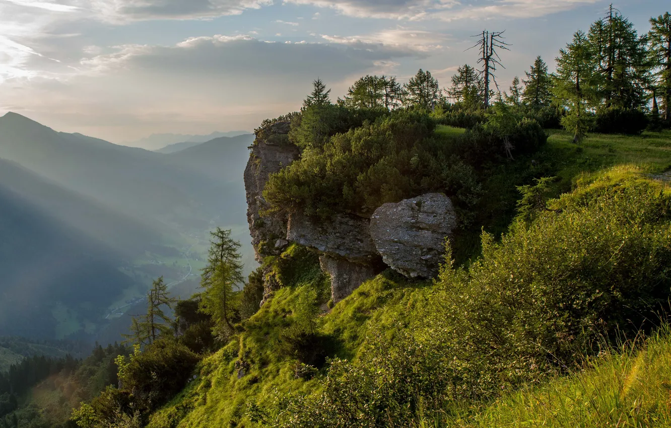 Photo wallpaper forest, mountains, fog, open, rocks