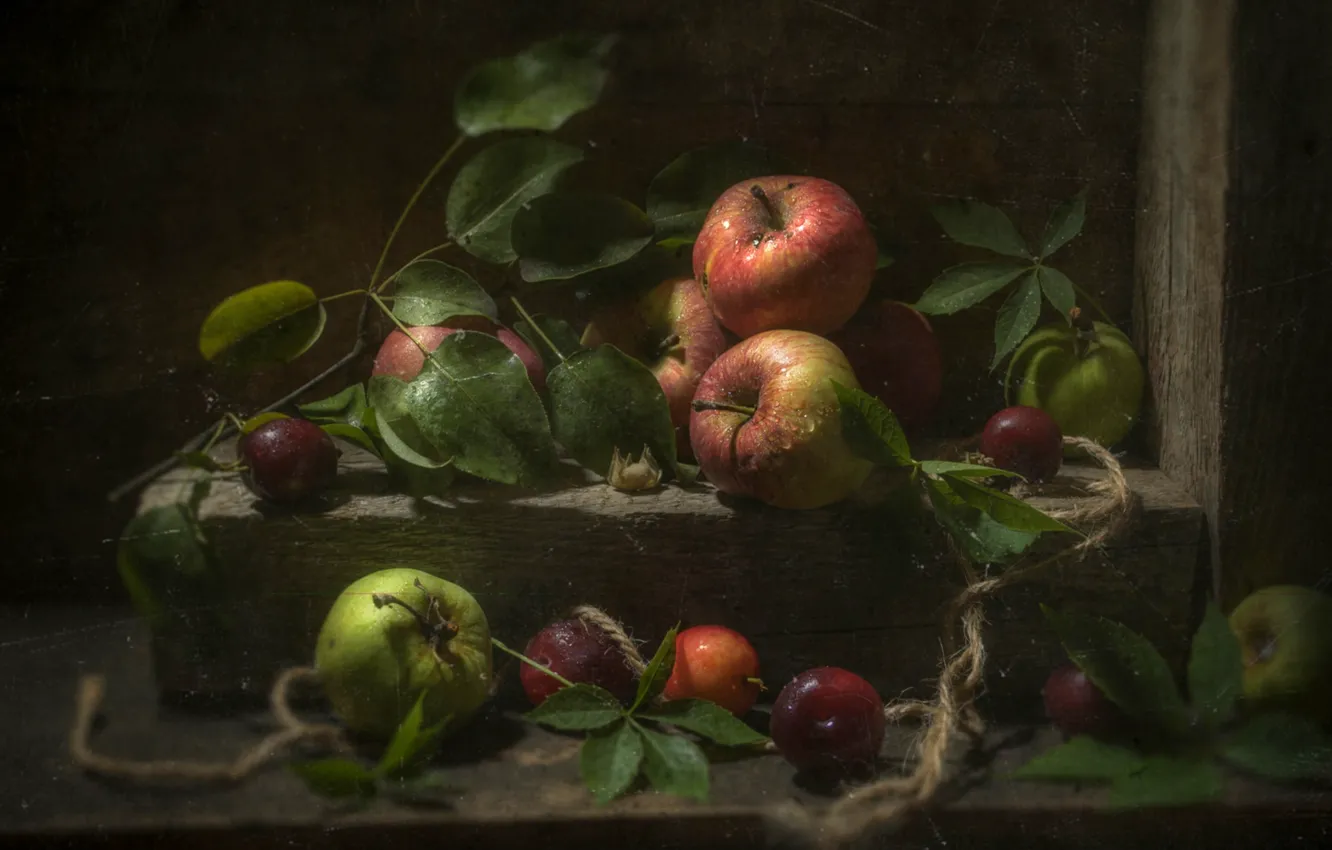 Photo wallpaper leaves, apples, plum