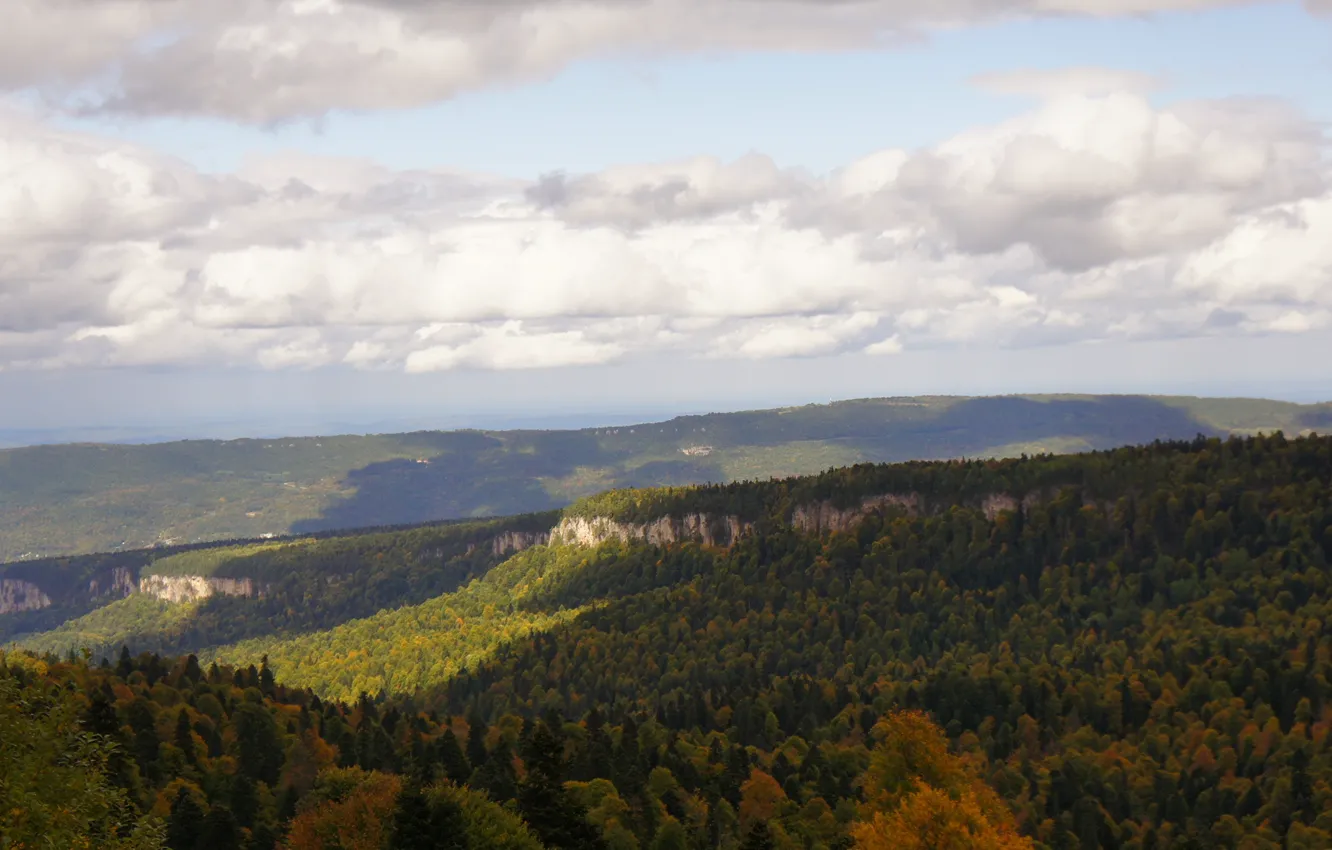 Photo wallpaper forest, open, forest, Adygea, Lago-Naki, Lago-Naki