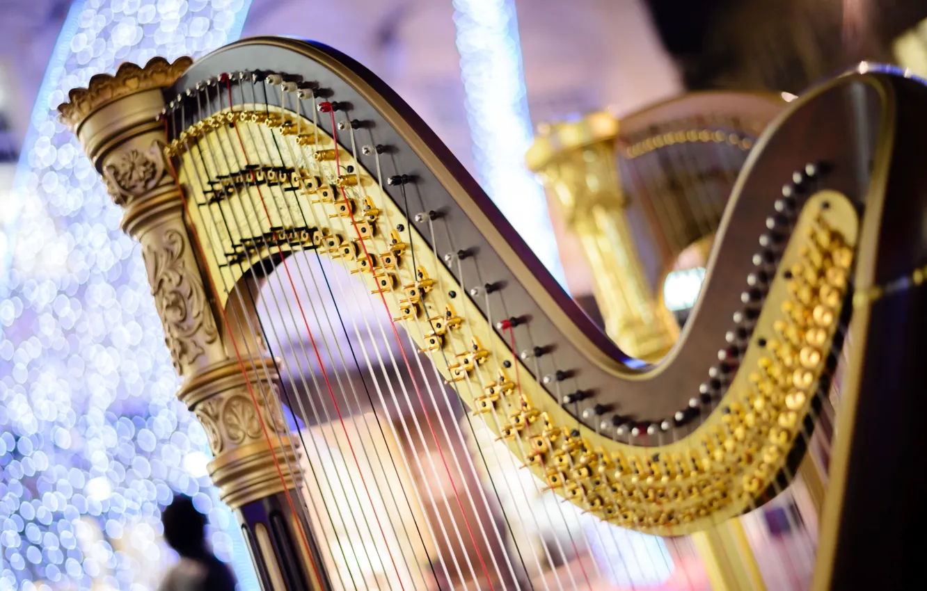 Photo wallpaper strings, blur, sound, harp, concert, tool, Music, music