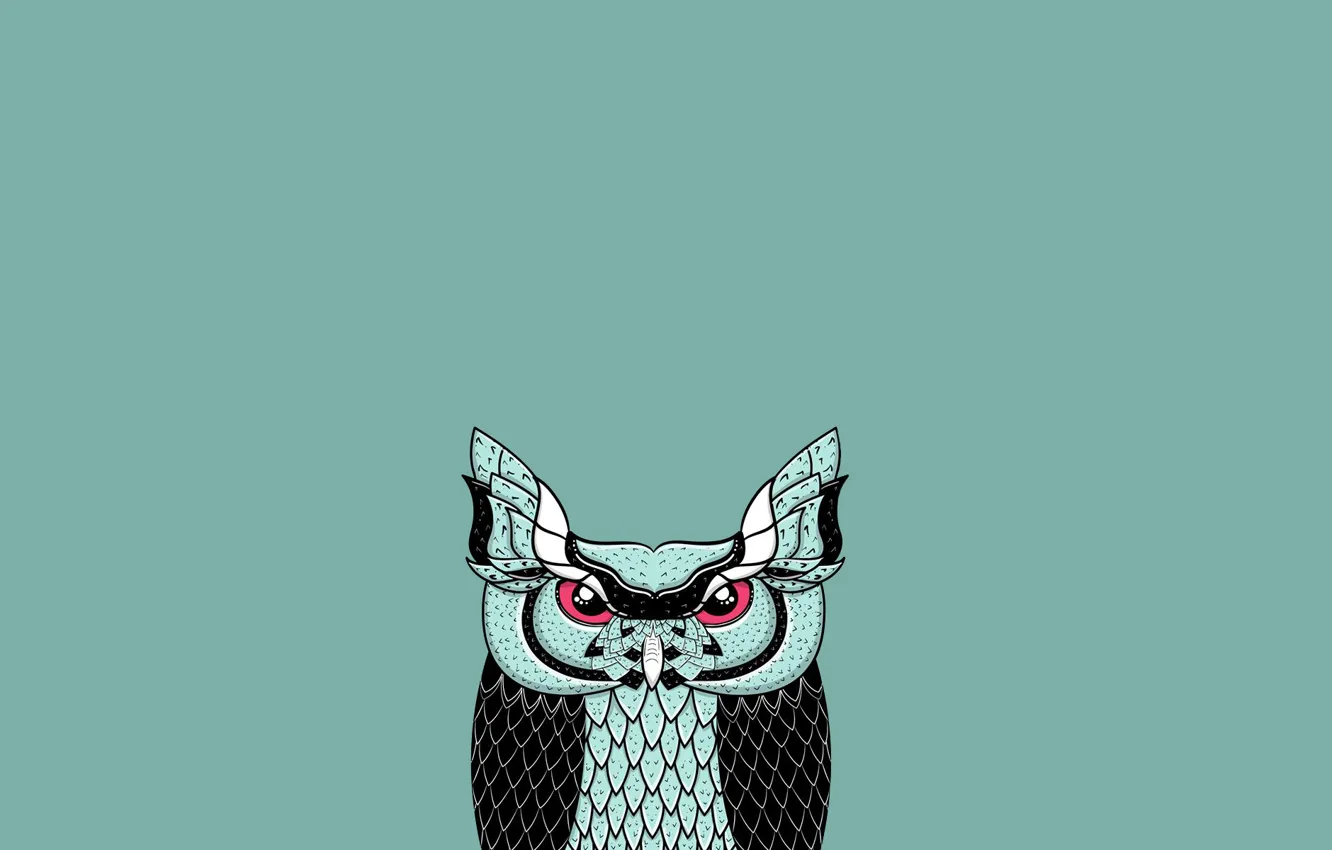 Photo wallpaper owl, bird, minimalism, blue background, owl