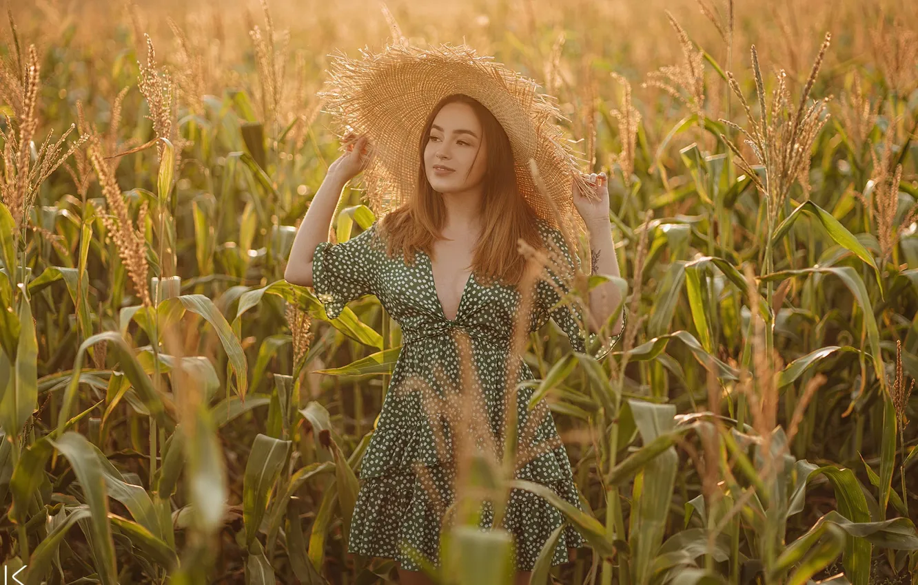Photo wallpaper field, summer, girl, pose, hat, corn, dress, cornfield
