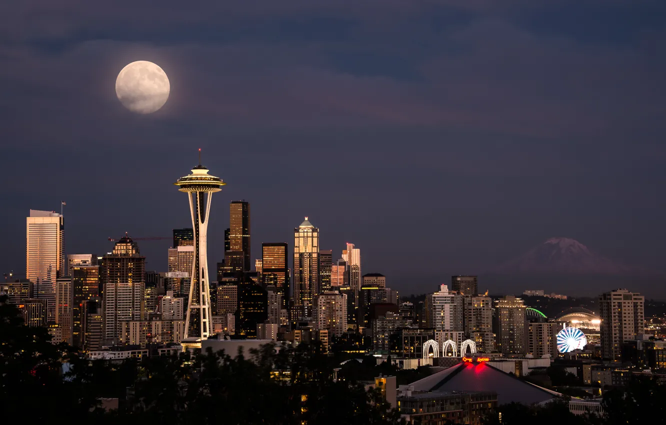 Photo wallpaper the sky, night, the city, lights, the moon, building, tower, home