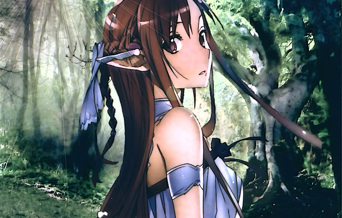 Photo wallpaper forest, girl, nature, magic, elf, swords, Asuna, master of the sword