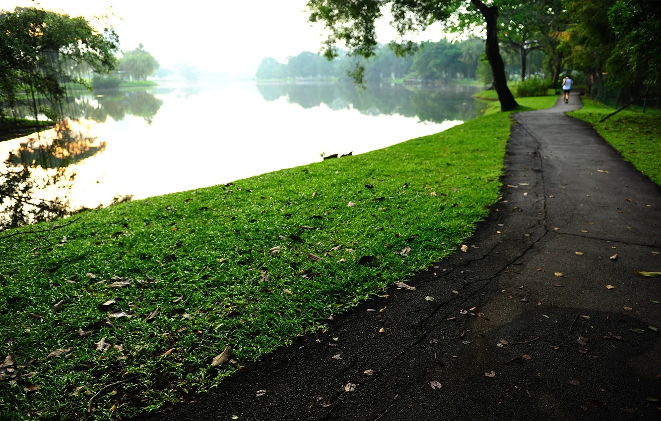 Photo wallpaper grass, asphalt, pond, track