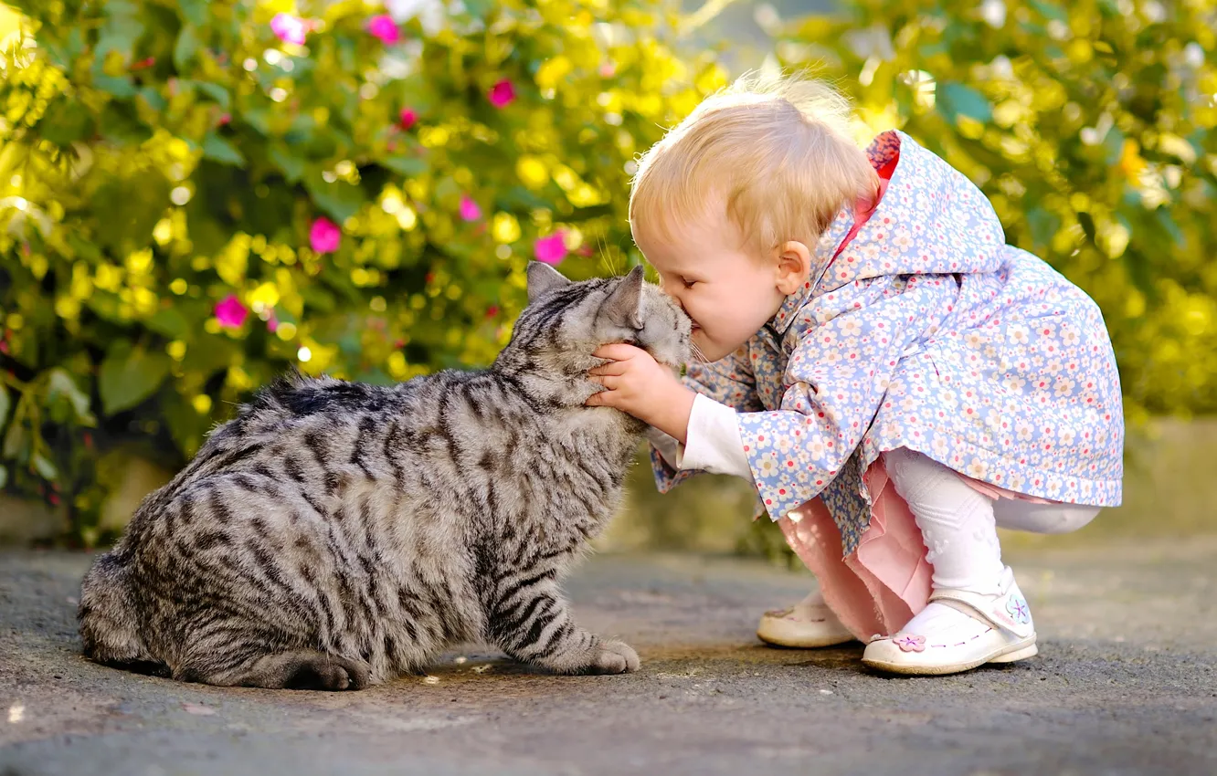 Photo wallpaper cat, cat, joy, each, mood, the situation, kiss, girl