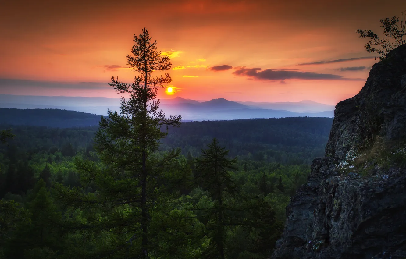 Photo wallpaper the sky, the sun, clouds, trees, sunset, nature, rocks, the evening
