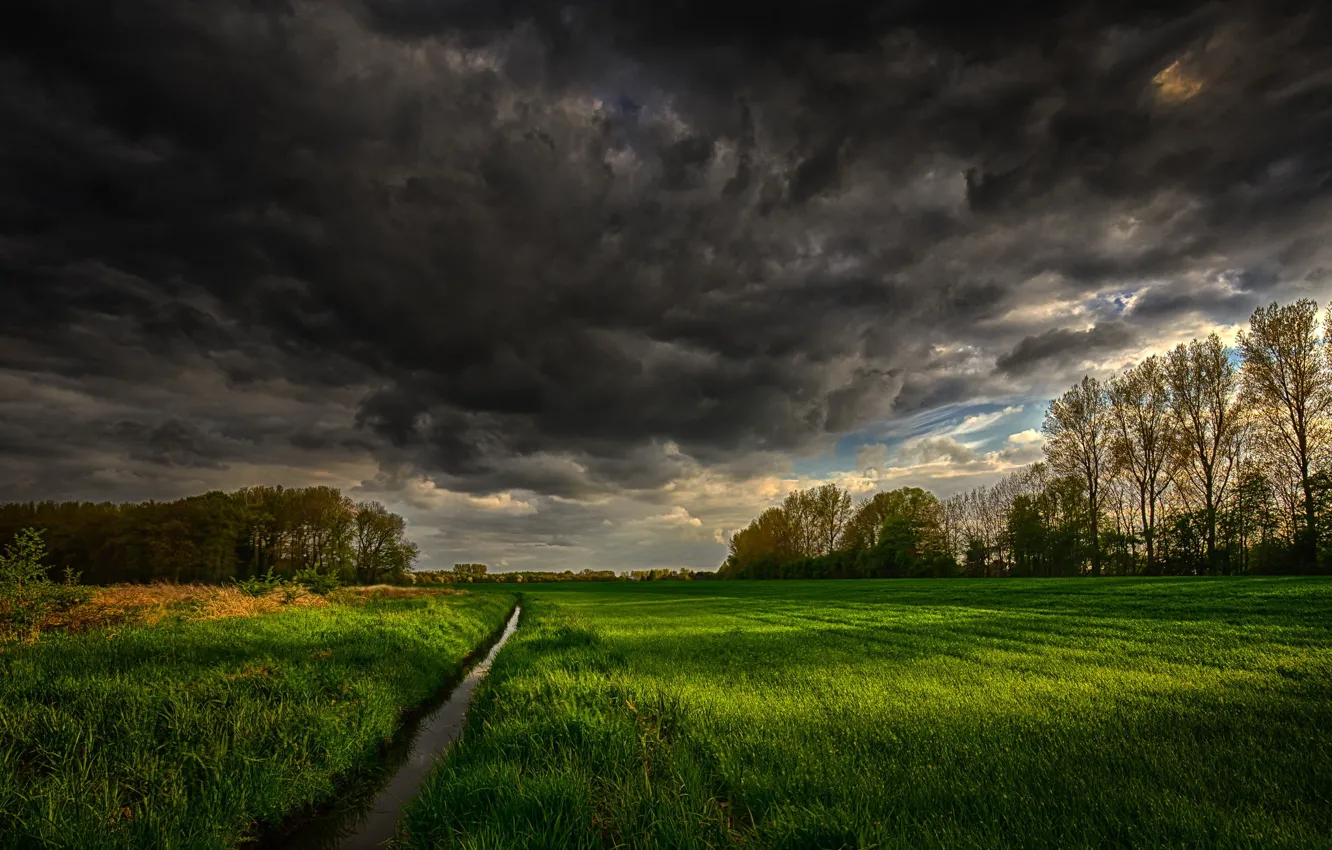 Photo wallpaper field, grass, trees, clouds, stream, channel
