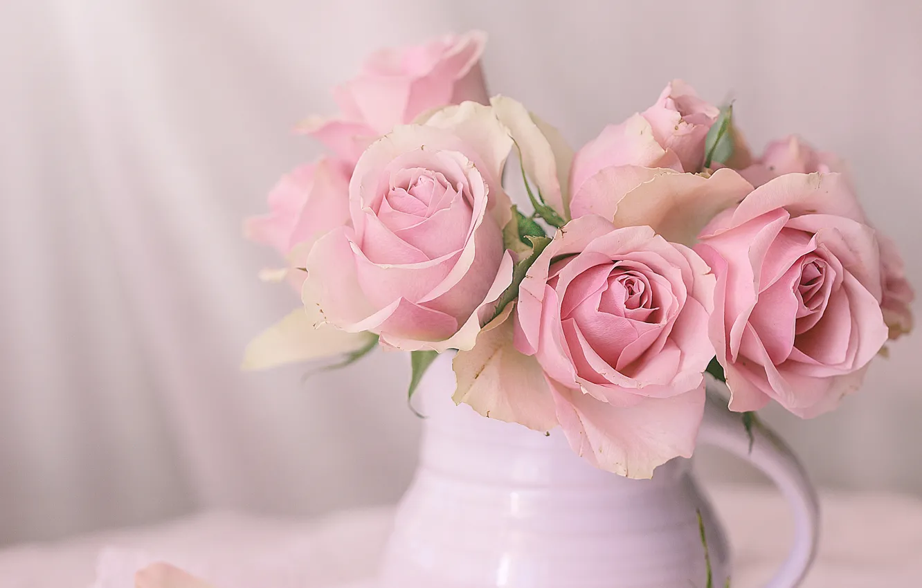 Photo wallpaper roses, pink, pitcher, still life