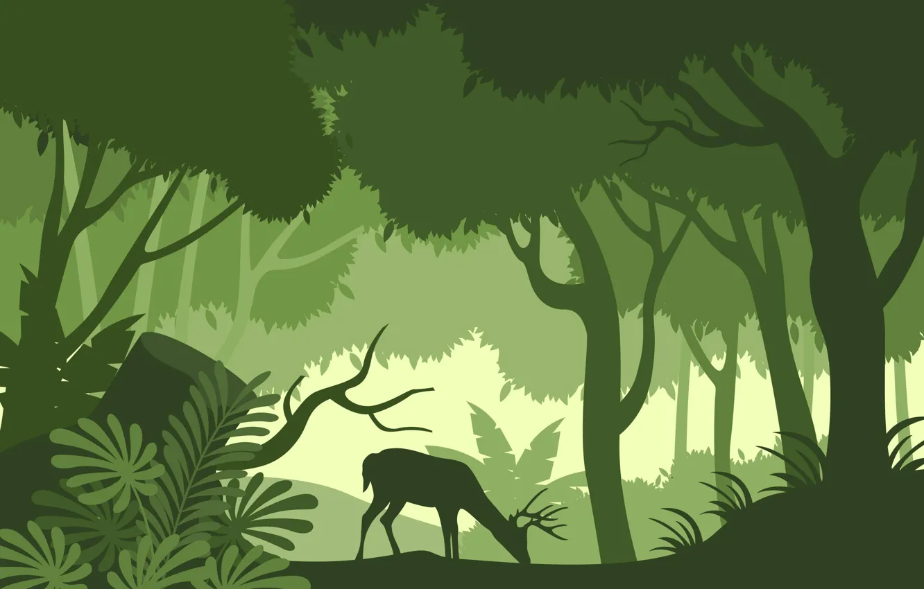 Photo wallpaper forest, background, jungle, forest, jungle, background