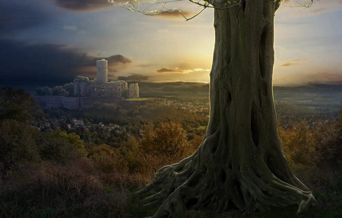 Photo wallpaper nature, castle, tree, collage, the suburbs