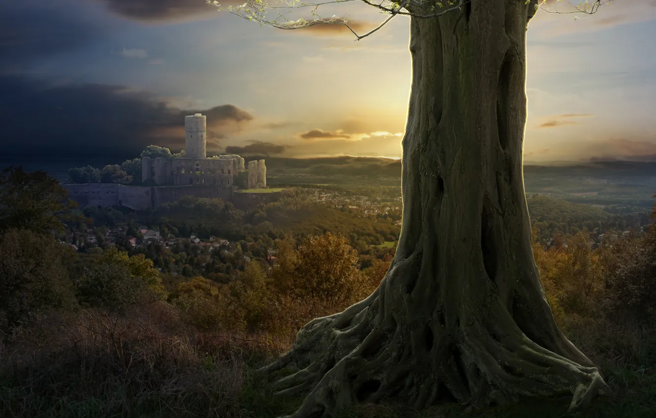 Photo wallpaper trees, nature, castle, collage, the suburbs