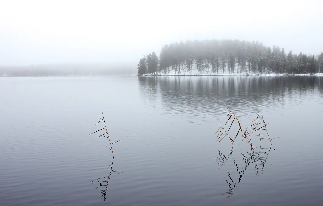 Photo wallpaper winter, forest, lake, Winter Lake