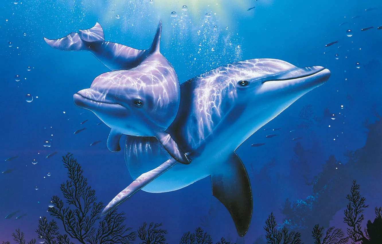 Photo wallpaper sea, Dolphin, blue, aquarium, beautiful, Christian, Riese