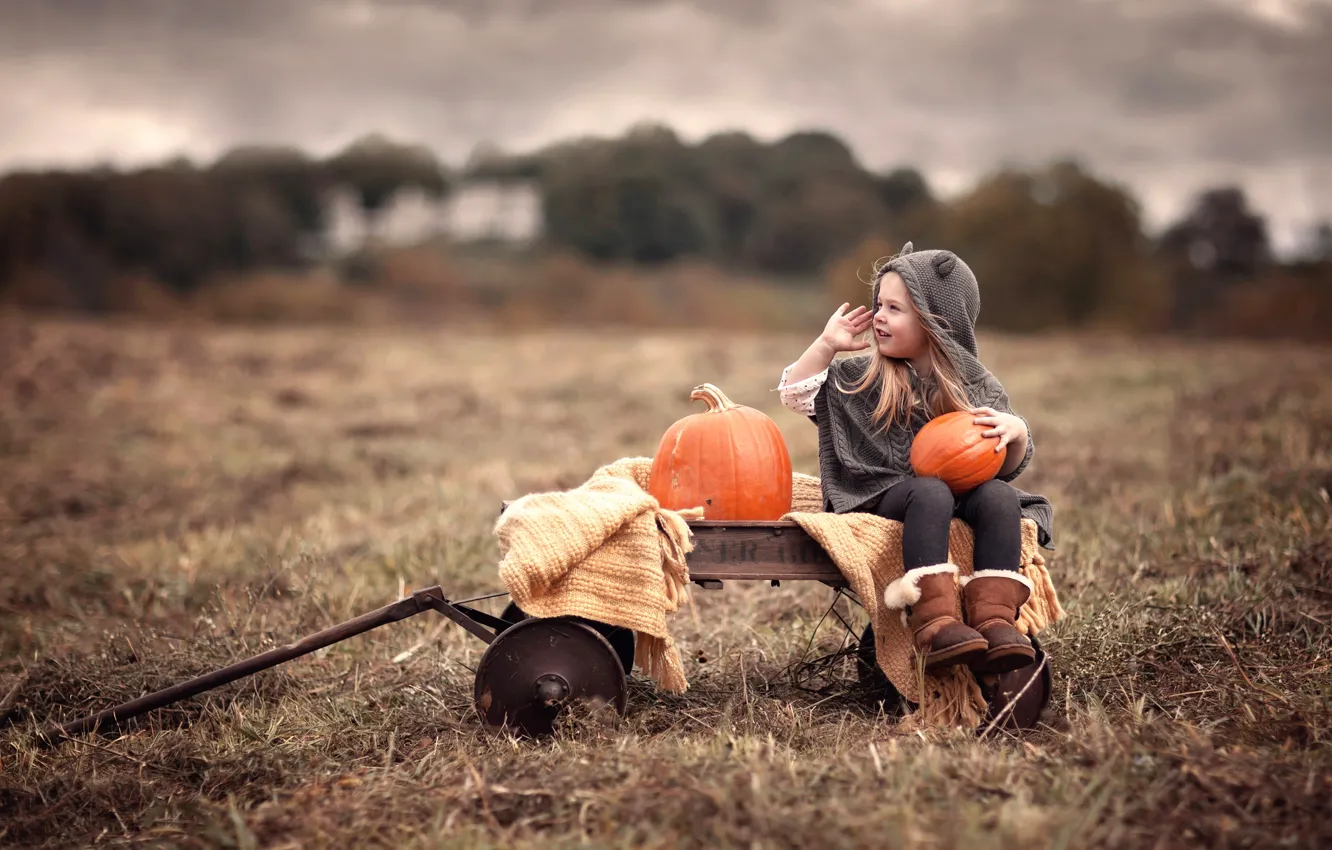 Photo wallpaper field, girl, pumpkin, truck