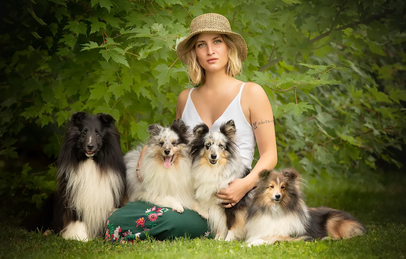 Photo wallpaper summer, girl, dog