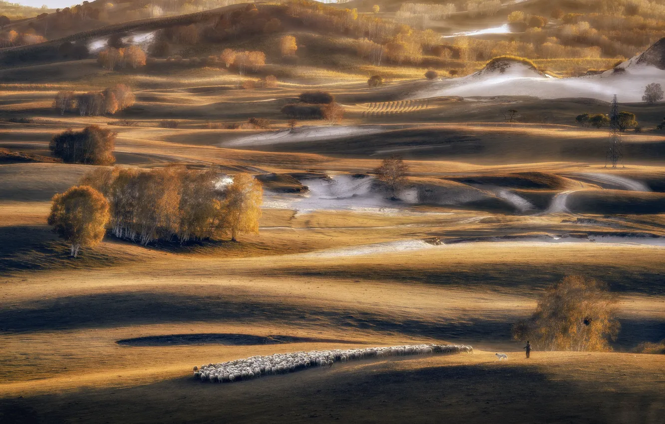 Photo wallpaper autumn, sheep, valley