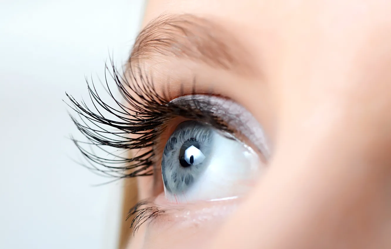 Photo wallpaper eye, eyelashes, blue iris