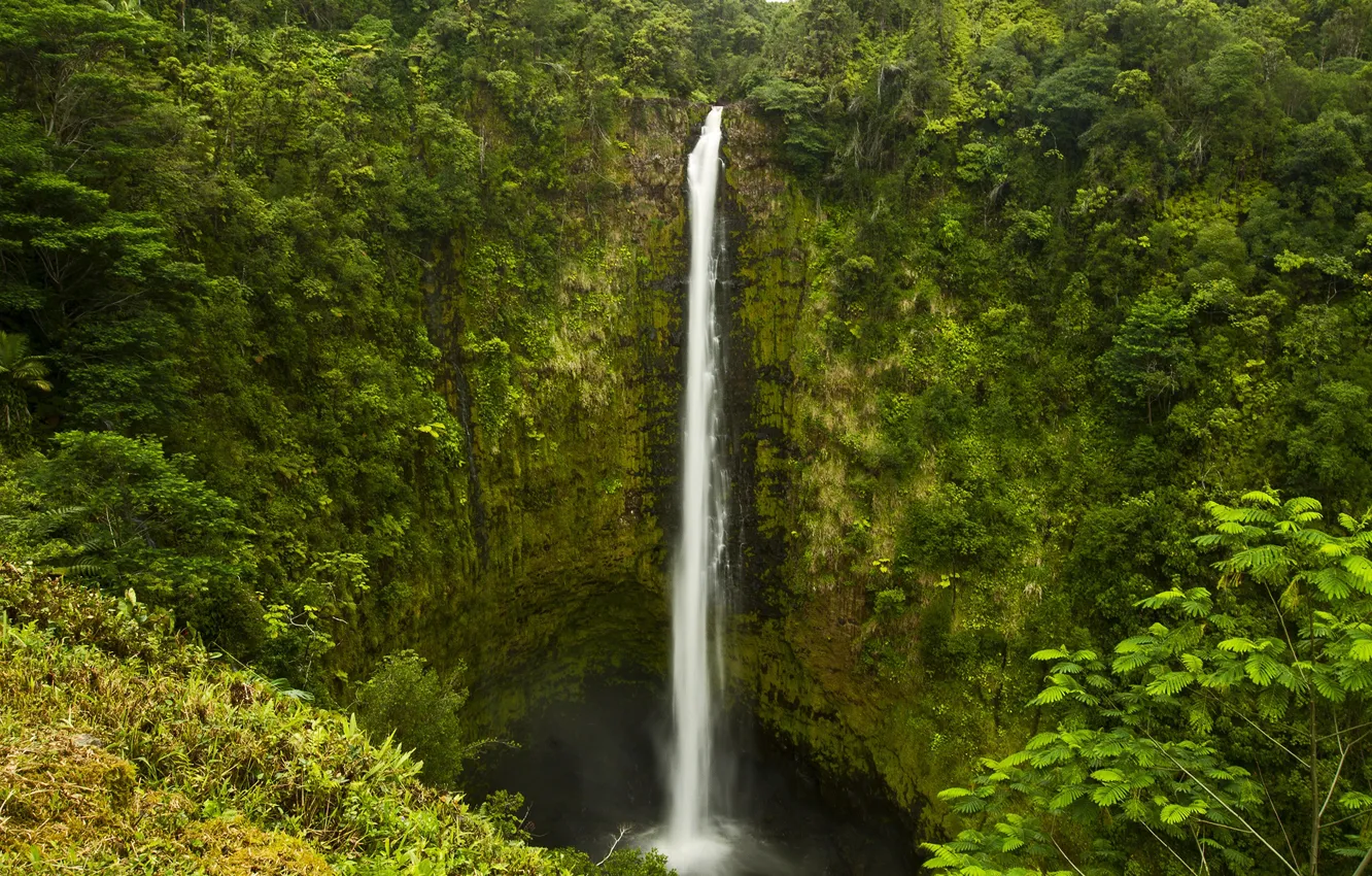 Photo wallpaper mountains, waterfall, Hawaii