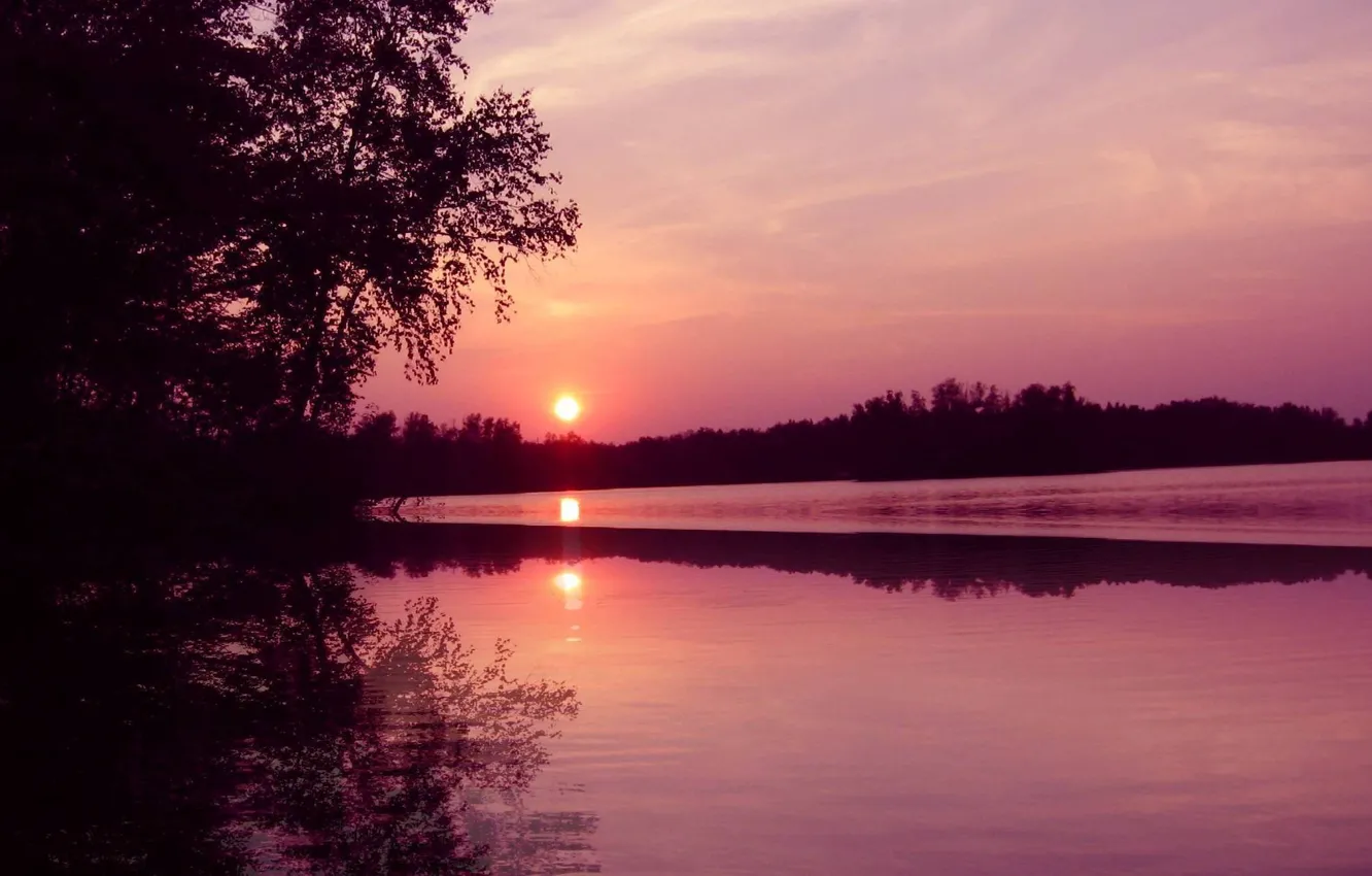 Photo wallpaper forest, sunset, nature, river, sunset in september with reflection