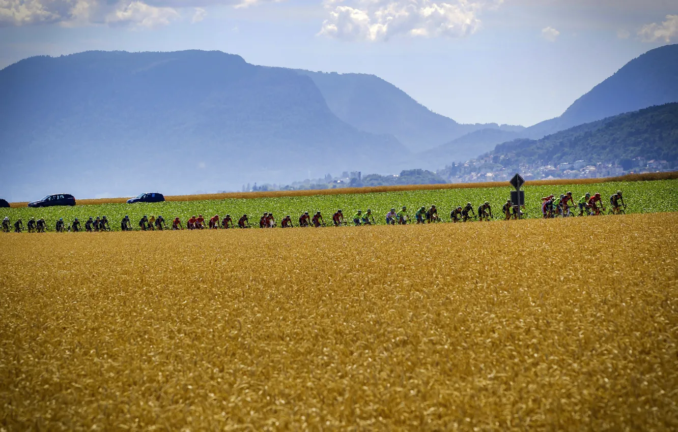 Photo wallpaper sport, cyclists, athletes, Platoon, The peloton, The tour de France, procycling, elite sport