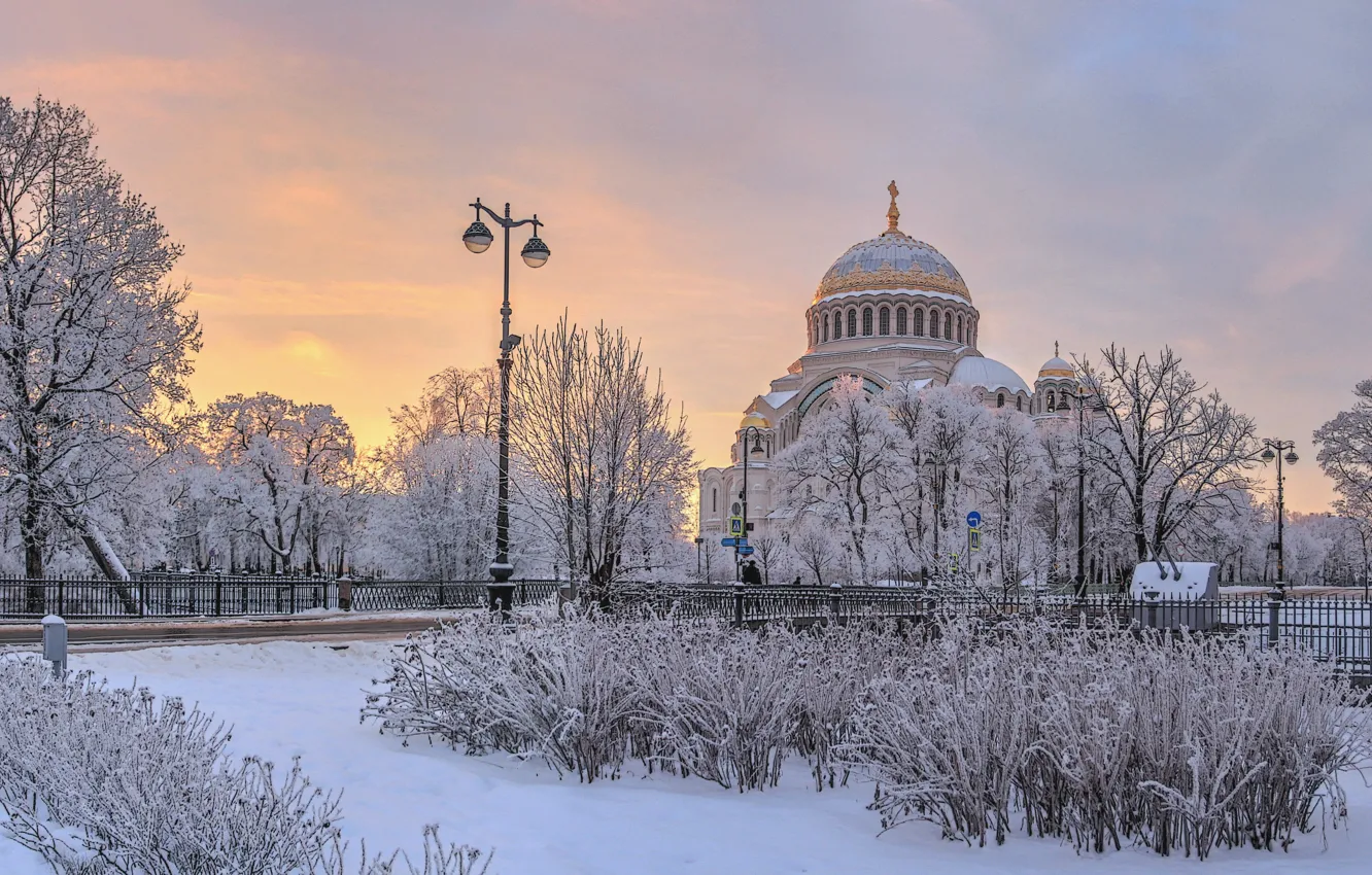 Photo wallpaper winter, snow, trees, landscape, the city, morning, Peter, Saint Petersburg