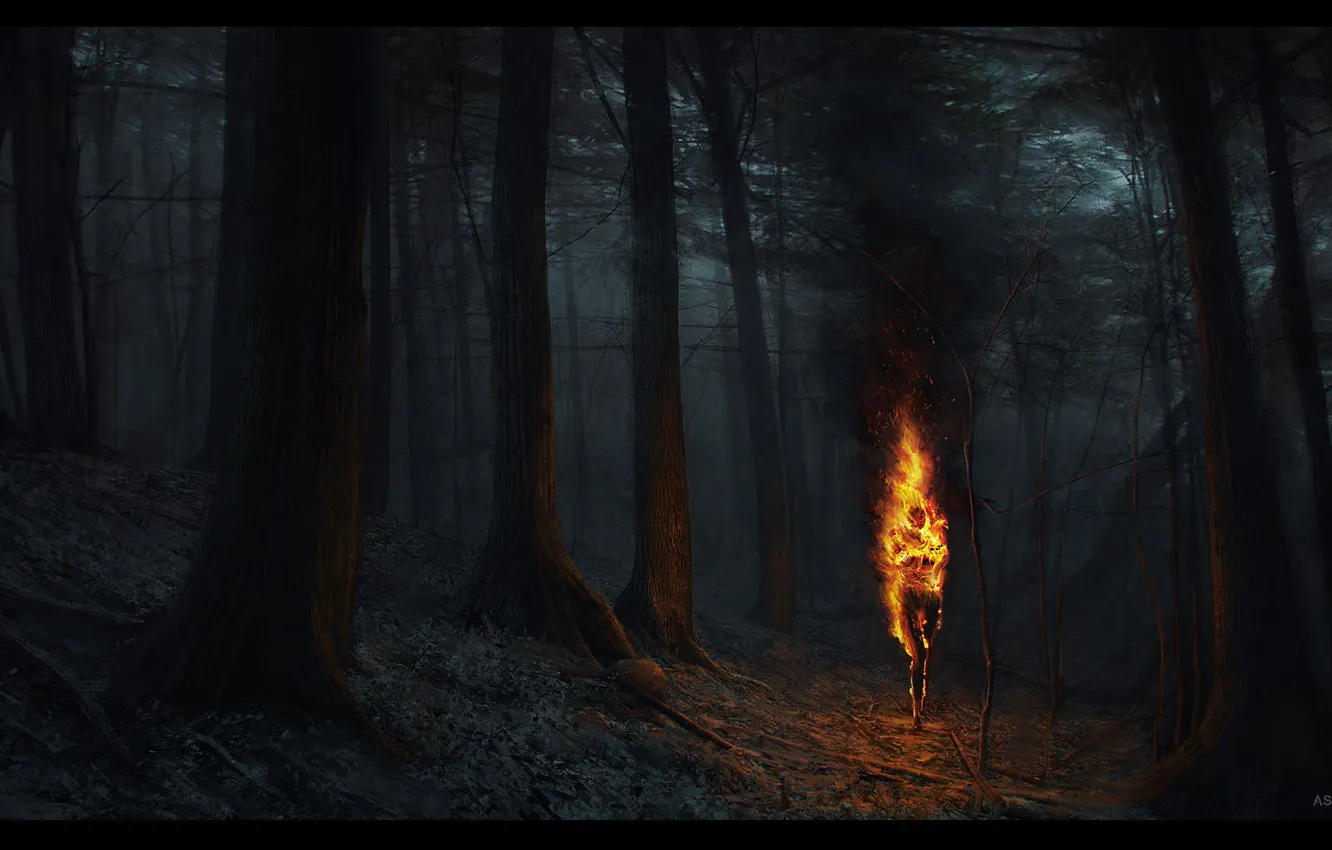 Photo wallpaper torch, ashen falls, fire woods, nitgh