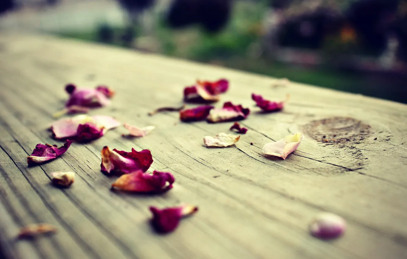 Photo wallpaper macro, surface, Board, pink, lepecki