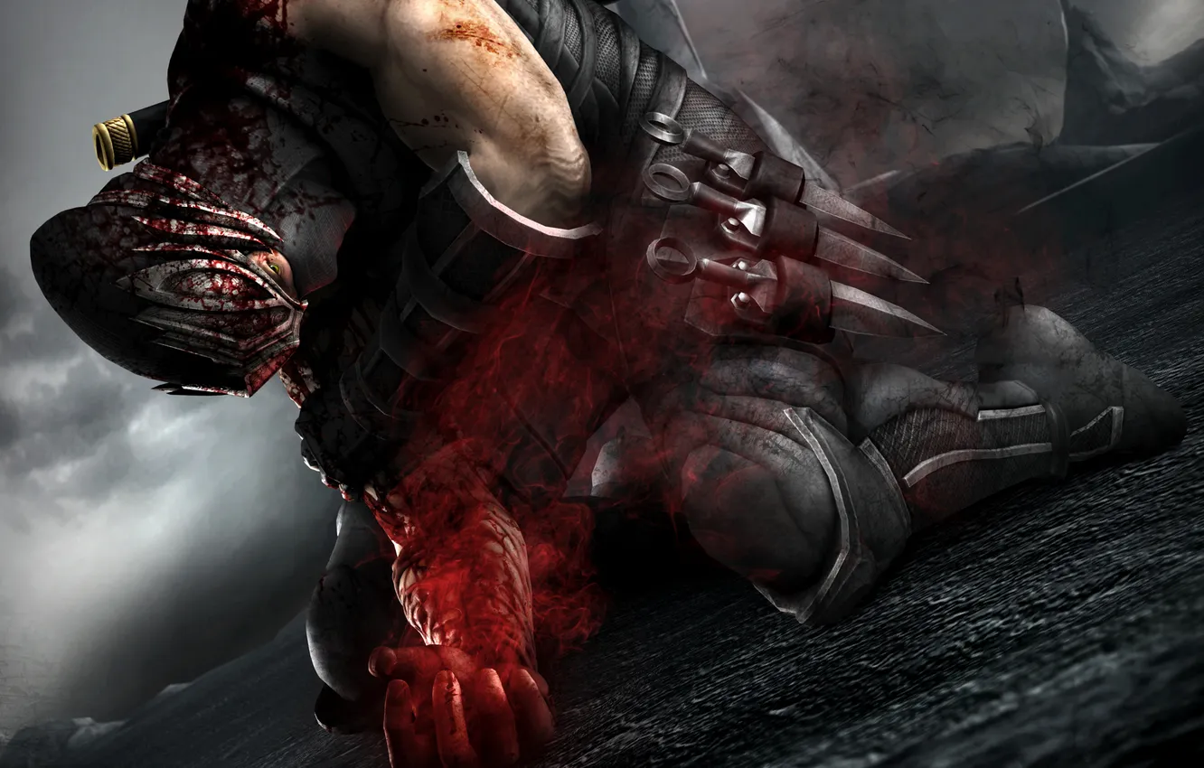 Photo wallpaper blood, infection, pain, ninja, Ninja Gaiden, ninja, sinobi, Ryu Hayabusa