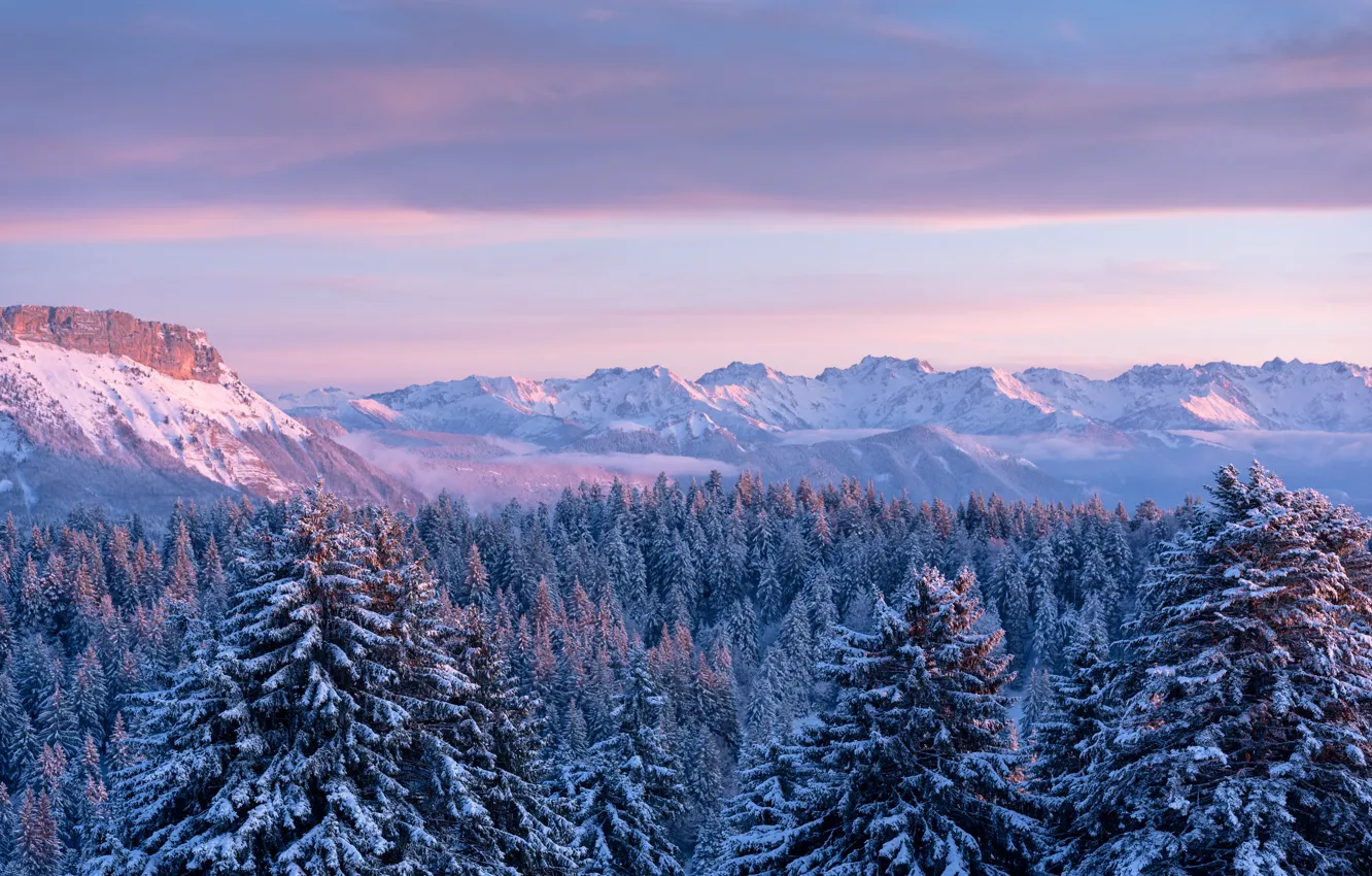 Photo wallpaper forest, mountains, France, ate, France, Savoie, Savoie, The Mountains Bauges