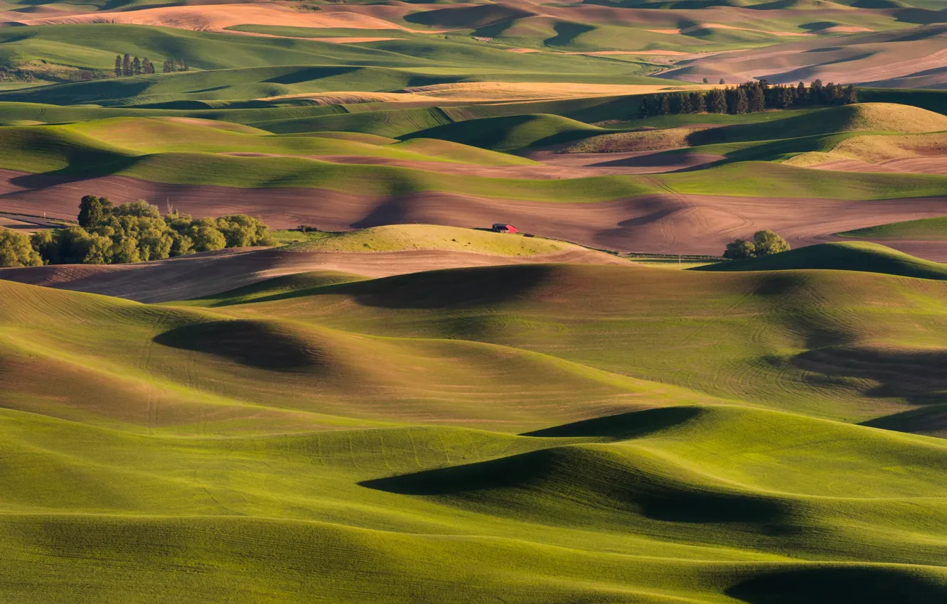 Photo wallpaper light, trees, mountains, green, hills, shadow, house, relief