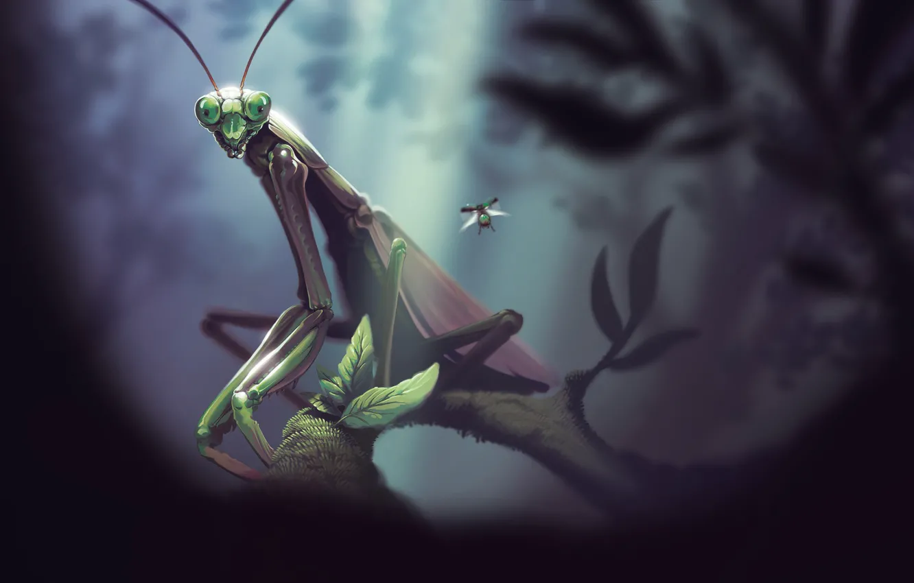 Photo wallpaper Nature, Figure, Beetle, Illustration, Concept Art, Insect, Environments, Mantis
