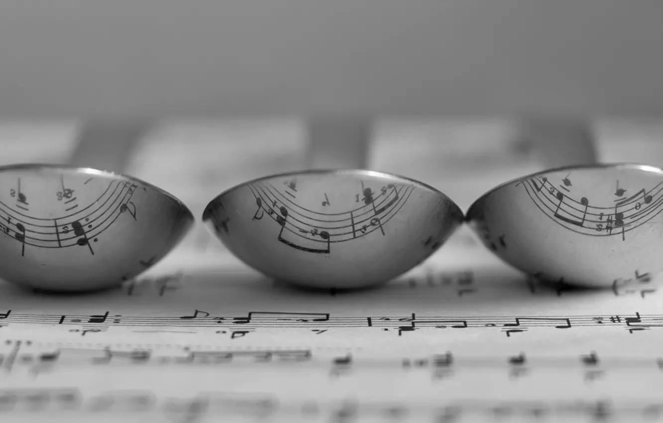 Photo wallpaper notes, music, spoon