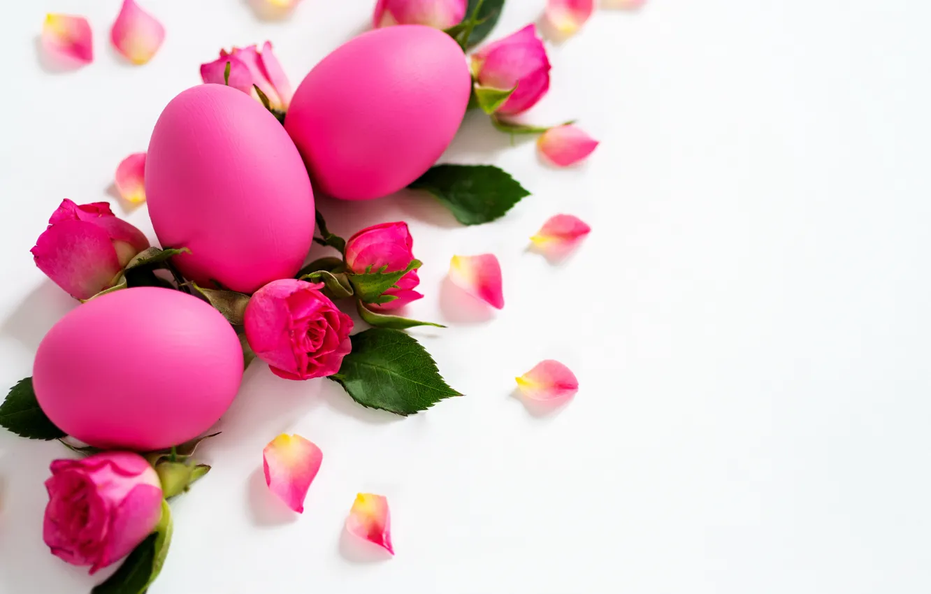 Photo wallpaper flowers, holiday, roses, eggs, petals, Easter, buds