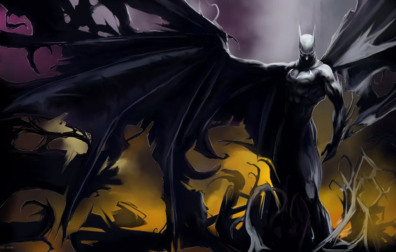 Photo wallpaper Batman, wings, 151, hero